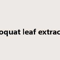 loquat leaf extract是什么意思