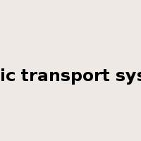 public transport system是什么意思