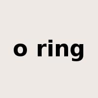 o ring是什么意思