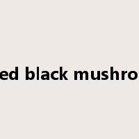 Dried black mushroom是什么意思
