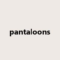pantaloons是什么意思