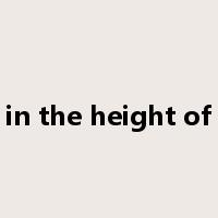 in the height of是什么意思