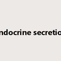 endocrine secretion是什么意思