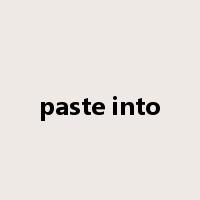 paste into是什么意思