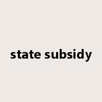 state subsidy是什么意思