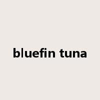 bluefin tuna是什么意思