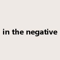 in the negative是什么意思