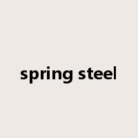 spring steel是什么意思