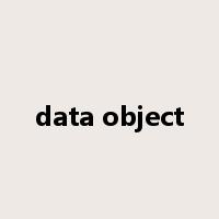 data object是什么意思
