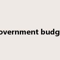 government budget是什么意思