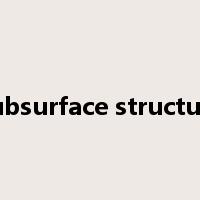 subsurface structure是什么意思