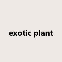 exotic plant是什么意思
