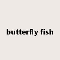 butterfly fish是什么意思