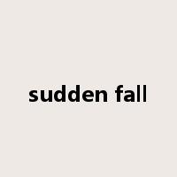 sudden fall是什么意思