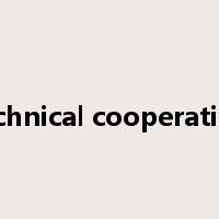 technical cooperation是什么意思