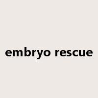 embryo rescue是什么意思