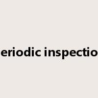 periodic inspection是什么意思