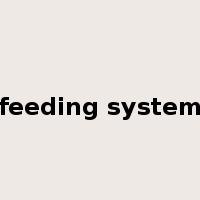 feeding system是什么意思