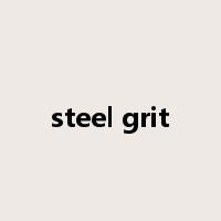 steel grit是什么意思