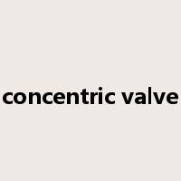 concentric valve是什么意思