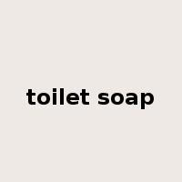 toilet soap是什么意思