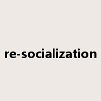 re-socialization是什么意思