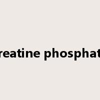 creatine phosphate是什么意思