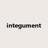 integument是什么意思
