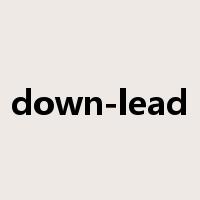 down-lead是什么意思