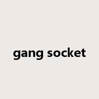gang socket是什么意思