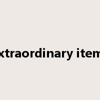 Extraordinary items是什么意思