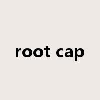 root cap是什么意思