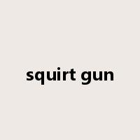 squirt gun是什么意思