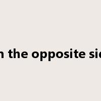 on the opposite side是什么意思