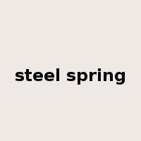 steel spring是什么意思