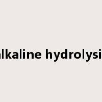alkaline hydrolysis是什么意思