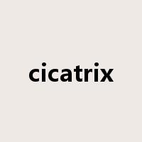 cicatrix是什么意思