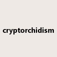 cryptorchidism是什么意思