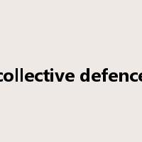 collective defence是什么意思