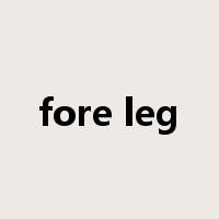 fore leg是什么意思