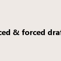 induced & forced draft fan是什么意思