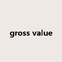 gross value是什么意思