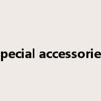 special accessories是什么意思
