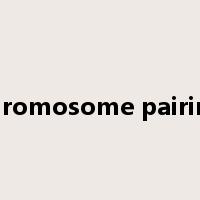 chromosome pairing是什么意思