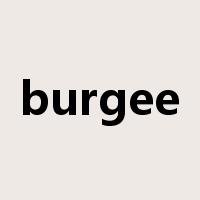 burgee是什么意思