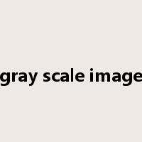 gray scale image是什么意思