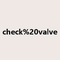 check%20valve是什么意思