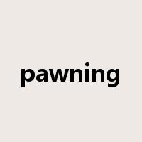 pawning是什么意思