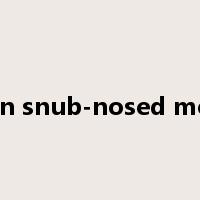 golden snub-nosed monkey是什么意思