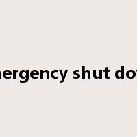 emergency shut down是什么意思